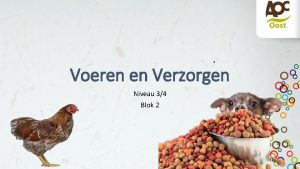 Voeren en Verzorgen Niveau 34 Blok 2 Wat