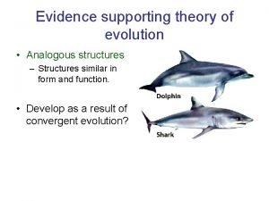 Convergent evolution