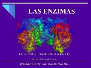 LAS ENZIMAS DEPARTAMENTO DE BIOLOGAGEOLOGA 2 Bachillerato Ciencias