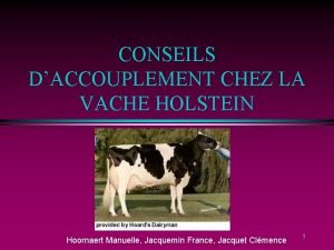 CONSEILS DACCOUPLEMENT CHEZ LA VACHE HOLSTEIN Hoornaert Manuelle