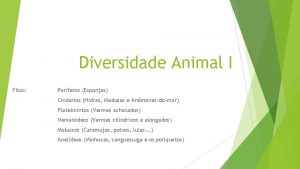 Diversidade Animal I Filos Porferos Esponjas Cnidrios Hidras