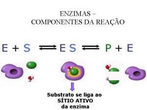 Inibidor competitivo e não competitivo