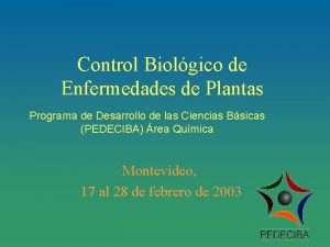 Control Biolgico de Enfermedades de Plantas Programa de