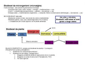 Biodiesel da microrganismi microalghe Fonti di energia meccanismi