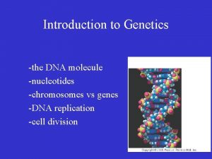 Introduction to Genetics the DNA molecule nucleotides chromosomes