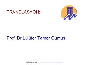 TRANSLASYON Prof Dr Llfer Tamer Gm Salk Slaytlar
