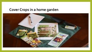 Cover Crops in a home garden The state
