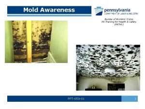 Mold awareness training