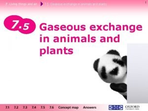 Gaseous exchange in animals