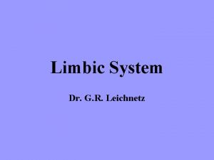 Limbic System Dr G R Leichnetz What is
