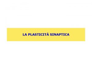 Plasticit
