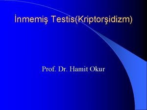 nmemi TestisKriptoridizm Prof Dr Hamit Okur Testis ve