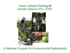 Green Lifestyle Redesign Camille Dieterle OTD OTRL A