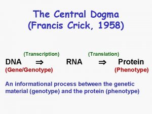 The Central Dogma Francis Crick 1958 Transcription DNA