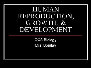 HUMAN REPRODUCTION GROWTH DEVELOPMENT OCS Biology Mrs Bonifay