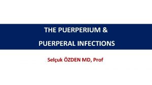 THE PUERPERIUM PUERPERAL INFECTIONS Seluk ZDEN MD Prof