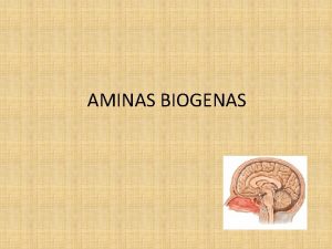 AMINAS BIOGENAS DEFINICIN Sustancia perteneciente a un grupo