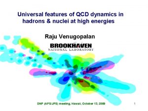 Universal features of QCD dynamics in hadrons nuclei