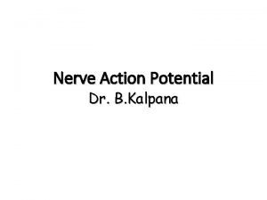 Nerve Action Potential Dr B Kalpana At the