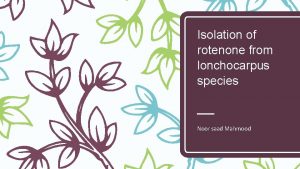 Isolation of rotenone from lonchocarpus species Noor saad