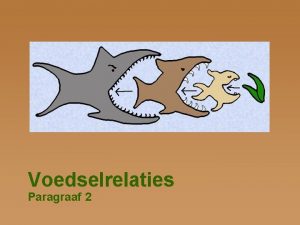 Voedselrelaties Paragraaf 2 Voedselrelaties Binnen ecosysteem hebben de