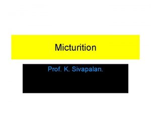 Micturition Prof K Sivapalan Ureters Collecting ducts open