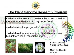 Plant genome research program