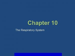 Respiratory system learning objectives