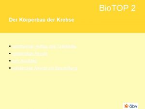 Bio TOP 2 Der Krperbau der Krebse schrittweiser