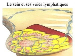 Le sein et ses voies lymphatiques Cancers du