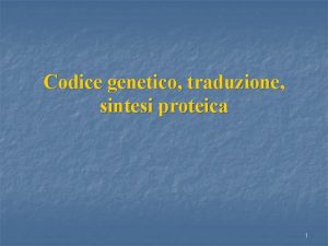 Codice genetico traduzione sintesi proteica 1 TRADUZIONE sintesi