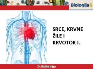 SRCE KRVNE ILE I KRVOTOK I Sustav organa