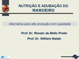 NUTRIO E ADUBAO DO MAMOEIRO Alternativa para alta