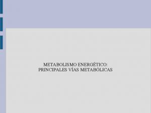 METABOLISMO ENERGTICO PRINCIPALES VAS METABLICAS Todo movimiento desde