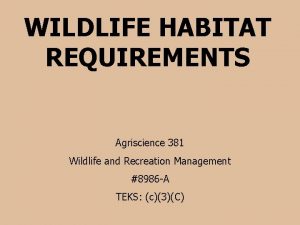 WILDLIFE HABITAT REQUIREMENTS Agriscience 381 Wildlife and Recreation