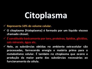 Citoplasma Representa 50 do volume celular O citoplasma