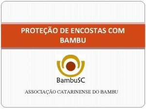 PROTEO DE ENCOSTAS COM BAMBU ASSOCIAO CATARINENSE DO