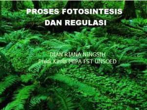 PROSES FOTOSINTESIS DAN REGULASI DIAN RIANA NINGSIH Prodi