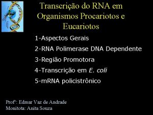 Transcrio do RNA em Organismos Procariotos e Eucariotos