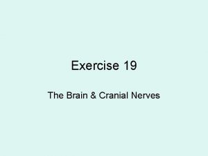 Cranial nerve