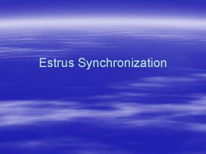 Estrus Synchronization Estrous Cycle Gn RH FSH Estrogen