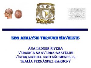 eeg analysis through wavelets ana leonor rivera vernica