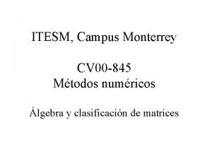ITESM Campus Monterrey CV 00 845 Mtodos numricos