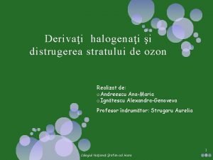 Derivai halogenai i distrugerea stratului de ozon Realizat