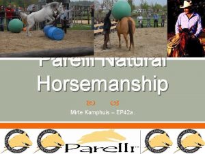 Parelli Natural Horsemanship Mirte Kamphuis EP 42 a