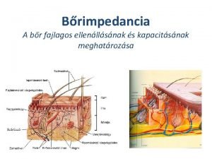 Brimpedancia A br fajlagos ellenllsnak s kapacitsnak meghatrozsa