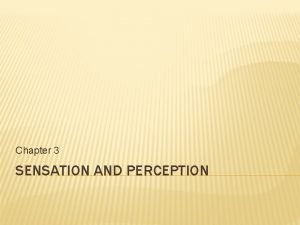 Chapter 3 sensation and perception