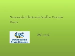 Non vascular vs vascular plants