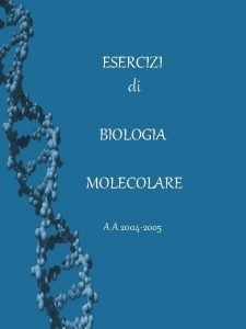 ESERCIZI di BIOLOGIA MOLECOLARE A A 2004 2005