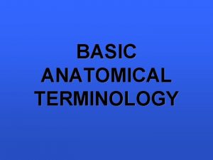BASIC ANATOMICAL TERMINOLOGY ANATOMICAL POSITION The anatomical position